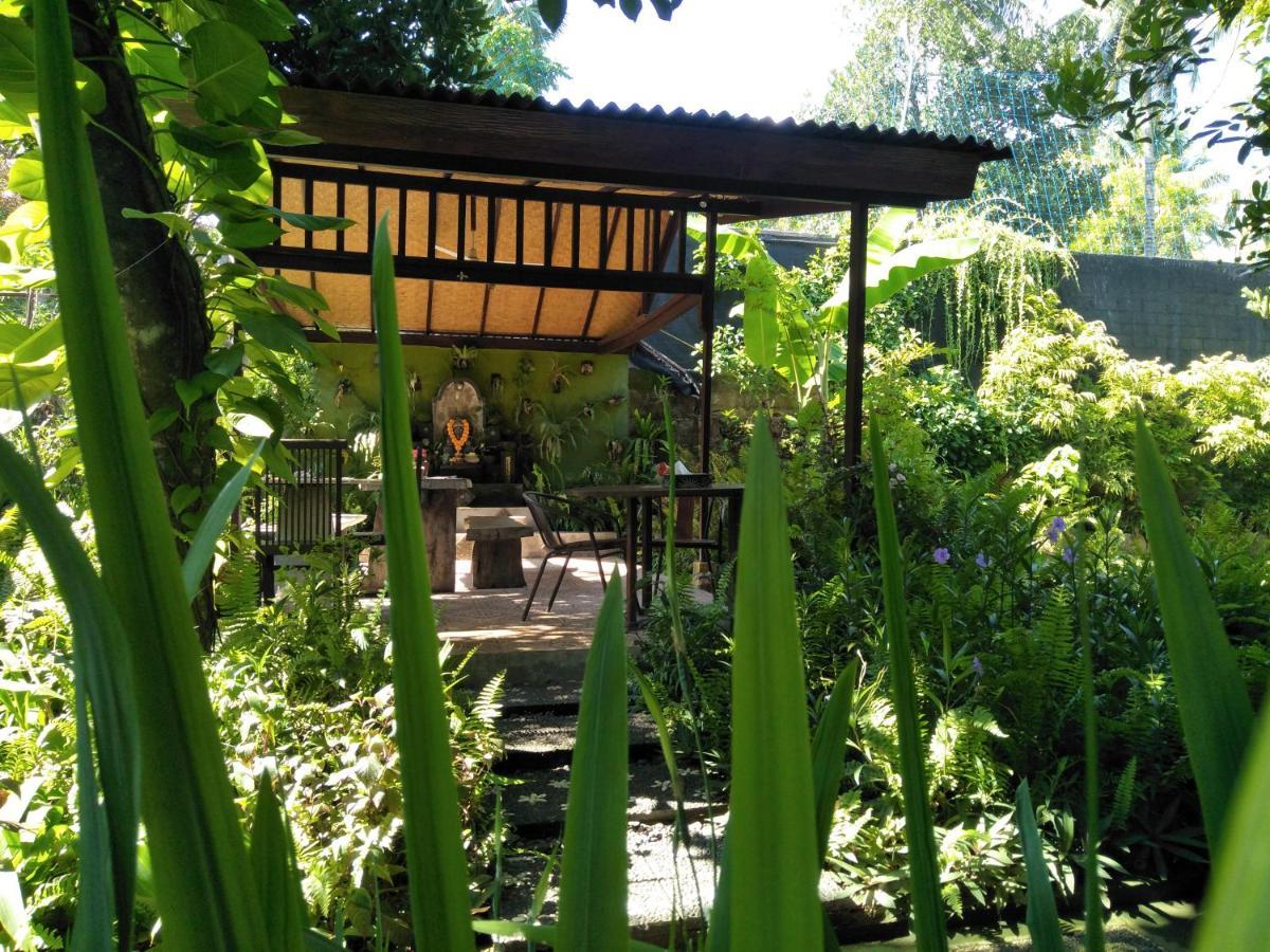 La Kubu Bali Homestay Tejakula Exterior photo